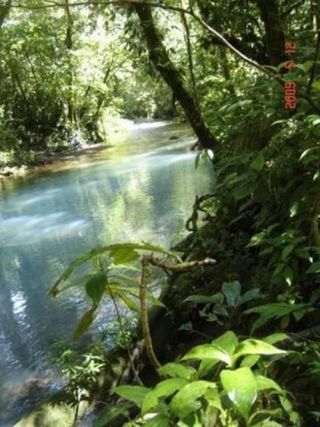 Súper Oferta! Finca Lechera en Bijagua de Upala, San Carlos De Alajuela Costa Rica.