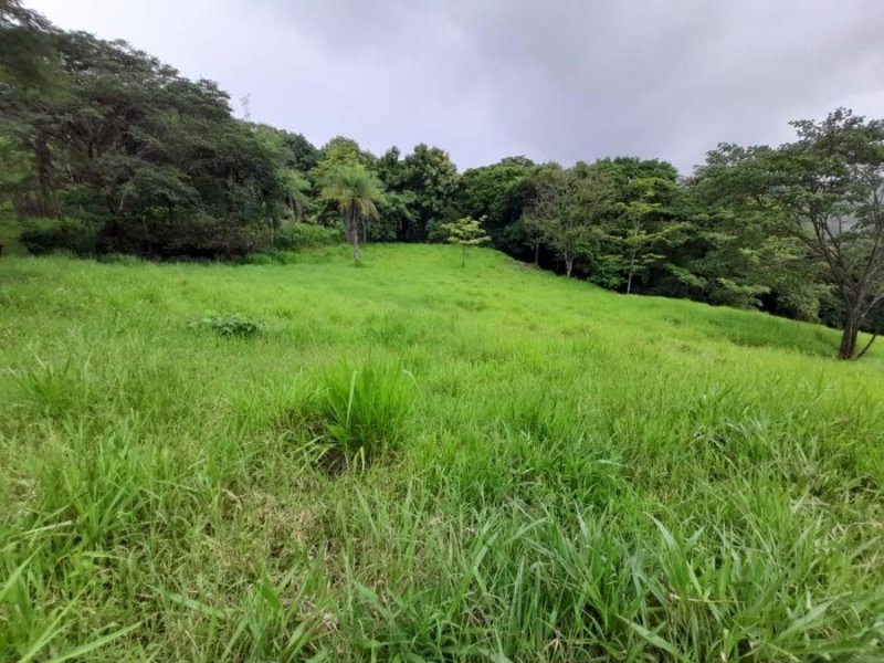 Terreno en Venta en Parcelas Barón de Esparza Esparza, Puntarenas