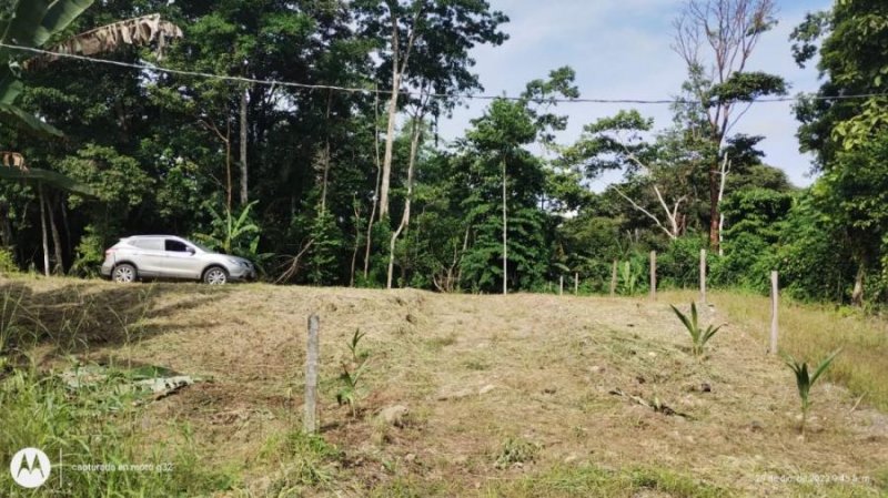 Terreno en Venta en Cahuita Cahuita, Limón