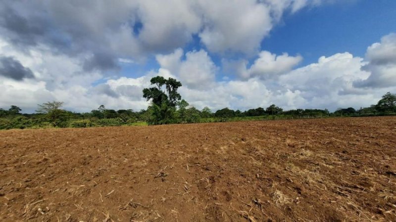 Terreno en Venta en Santa Isabel Río Cuarto, Alajuela