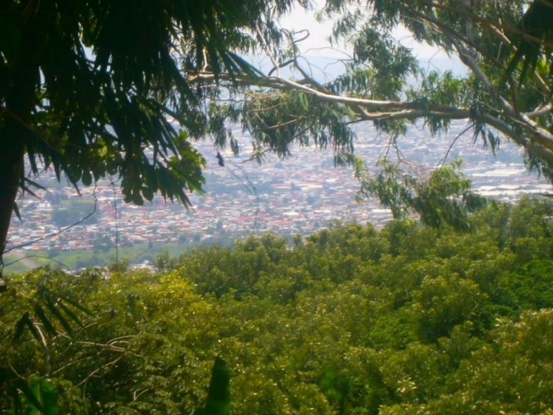 Terreno con vista al Valle Central, a menos de $10 por m2 por falta del servicio de agua