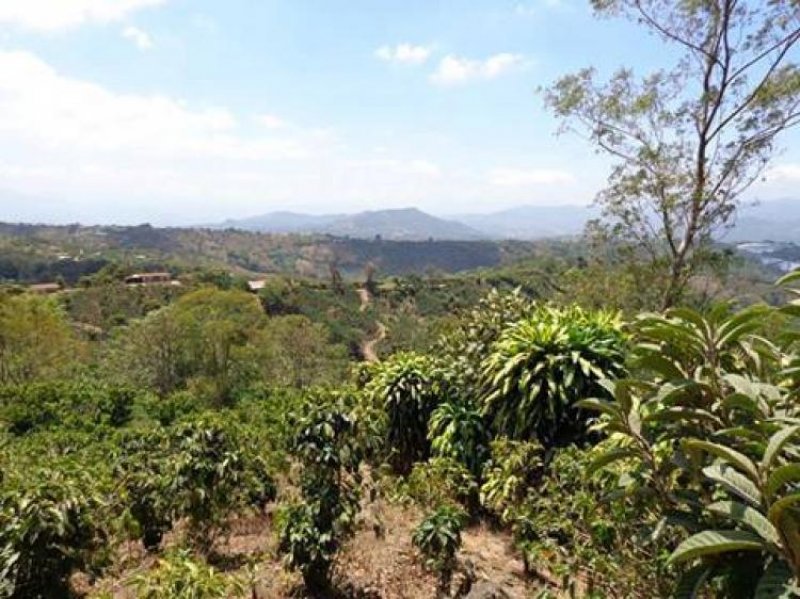 Foto Finca en Venta en Naranjo, Alajuela - ¢ 24.000.000 - FIV4032 - BienesOnLine