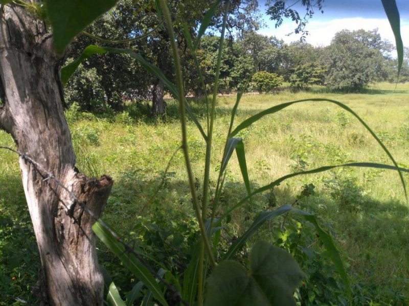 Terreno en Venta en  Liberia, Guanacaste