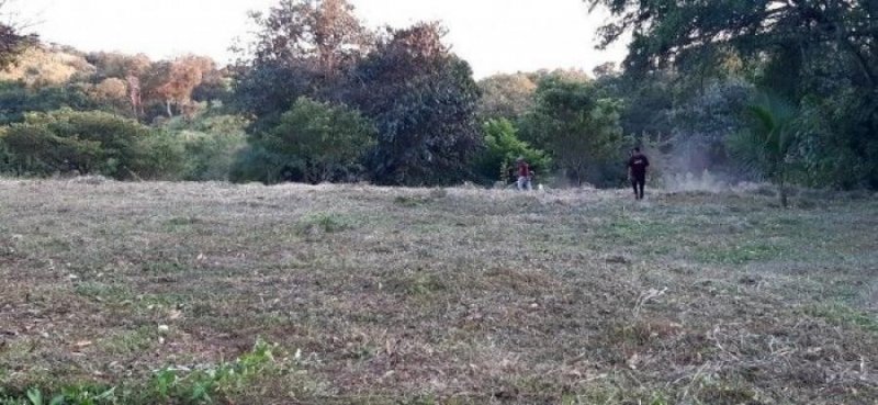 Terreno en Venta en  Cañas Dulces, Guanacaste