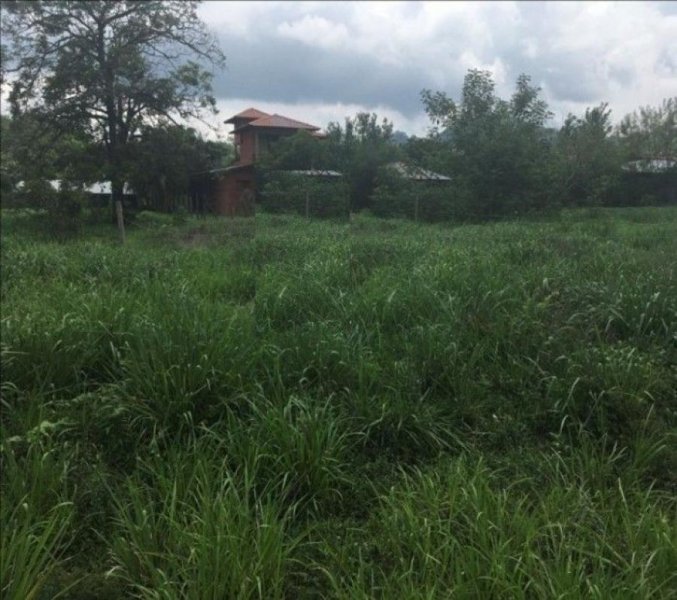 Terreno en Venta en  Hojancha, Guanacaste