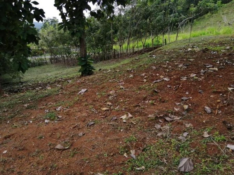 Terreno en Venta en  Hojancha, Guanacaste