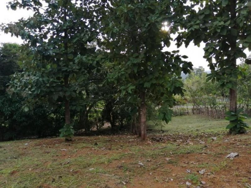 Terreno en Venta en  Hojancha, Guanacaste