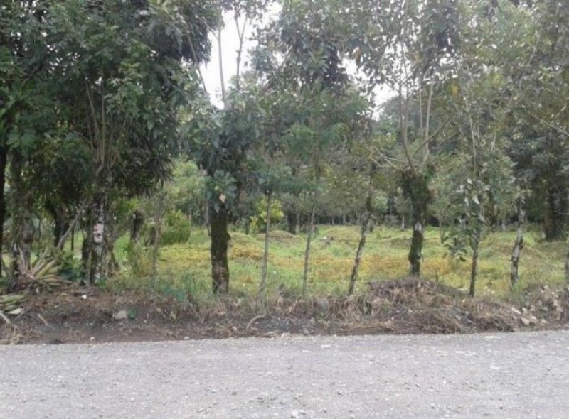 Foto Terreno en Venta en Peñas Blancas, Alajuela - ¢ 14.000.000 - TEV82858 - BienesOnLine