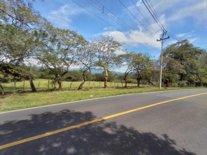 Terreno en Venta en  Garita, Alajuela