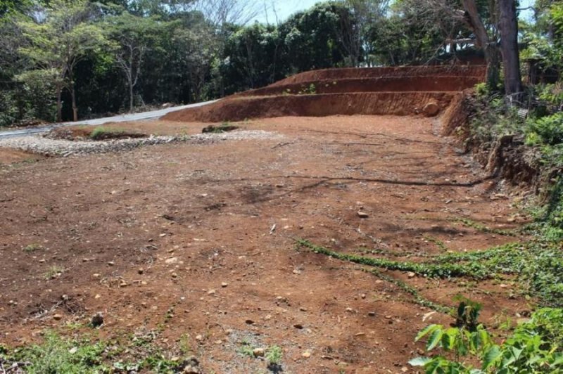 Terreno en Venta en  Montes de Oro, Puntarenas