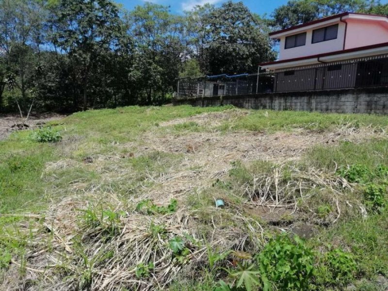 Terreno en Venta en  Naranjo, Alajuela