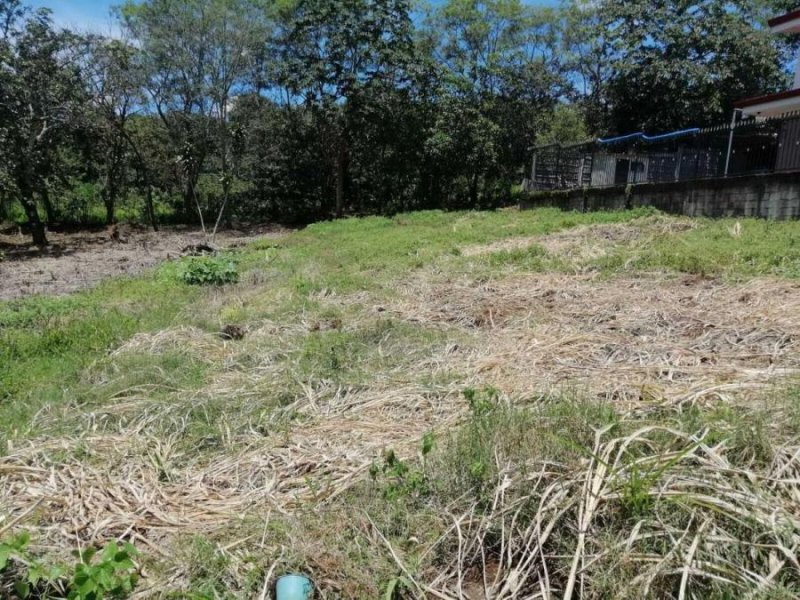 Terreno en Venta en  Naranjo, Alajuela