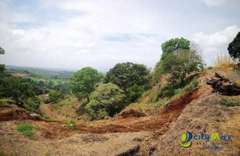 Terreno en Venta en  Puente de Piedra, Alajuela