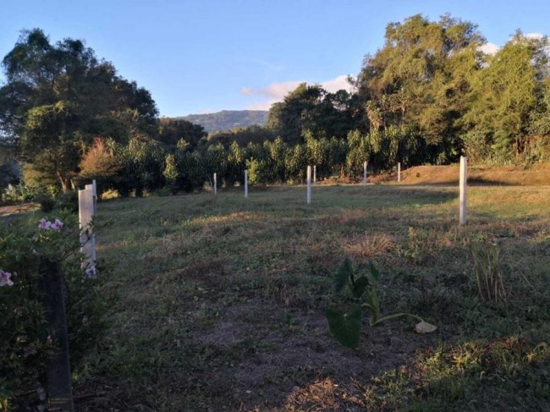 Terreno en Venta en  San José de la Montaña, Heredia