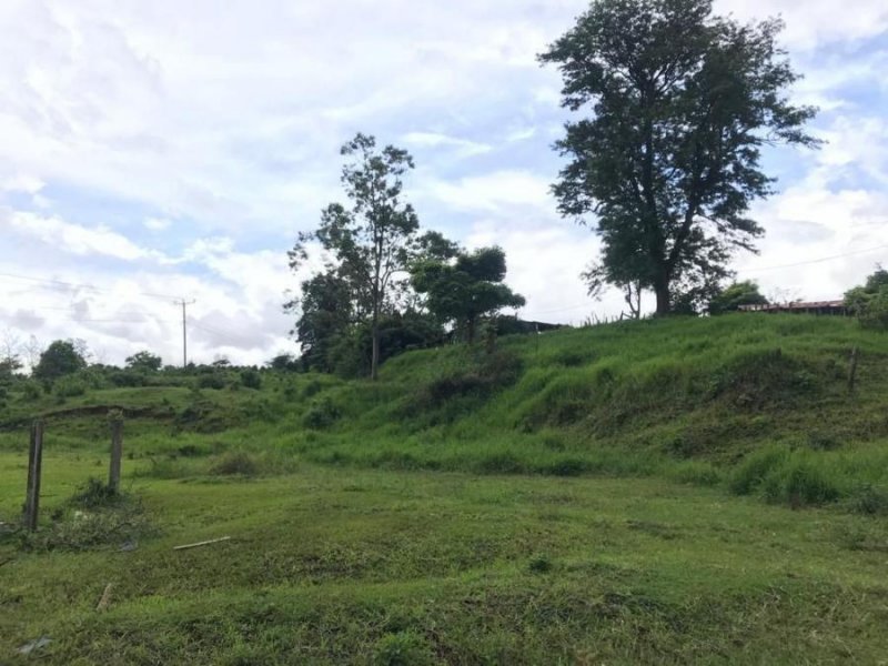 Terreno en Venta en  San Nicolás, Cartago