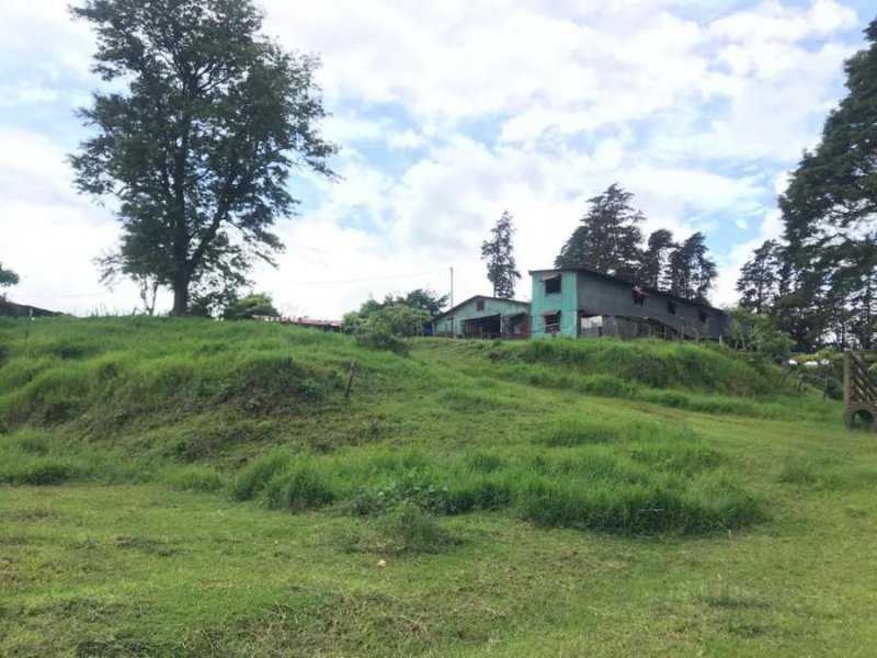 Terreno en Venta en  San Nicolás, Cartago