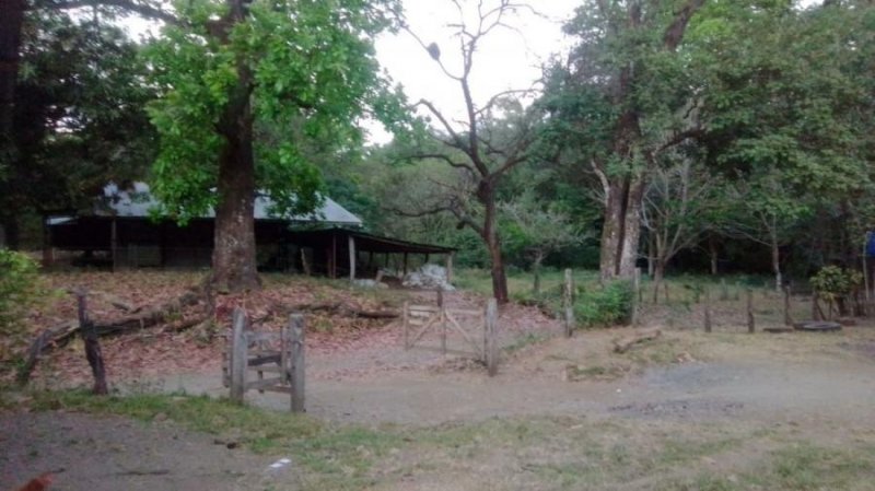 Terreno en Venta en San Vicente Nicoya, Guanacaste