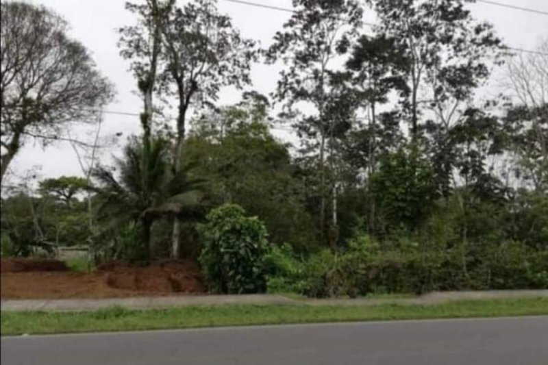 Terreno en Venta en  Bajos de Chilamate, Heredia