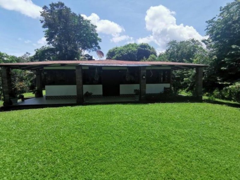 Foto Terreno en Venta en Siquirres, Limón - U$D 320.000 - TEV76544 - BienesOnLine