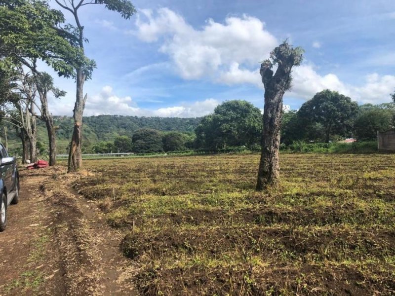 Terreno en Venta en  Alajuela, Alajuela