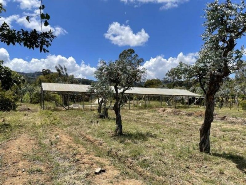 Terreno en Venta en  Tobosi, Cartago