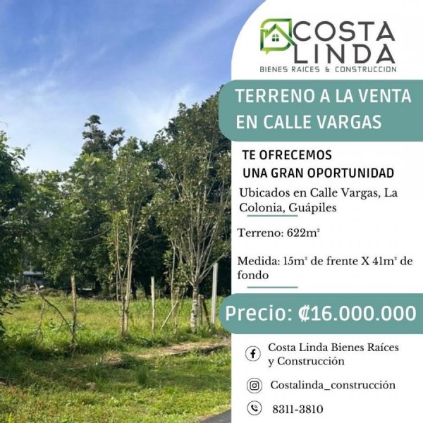 Foto Terreno en Venta en La Colonis, Guápiles, Limón - ¢ 16.000.000 - TEV115009 - BienesOnLine