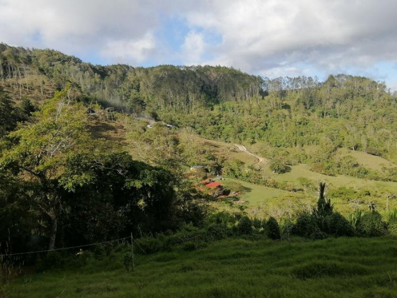 Terreno en Venta en La Estrella El Guarco, Cartago