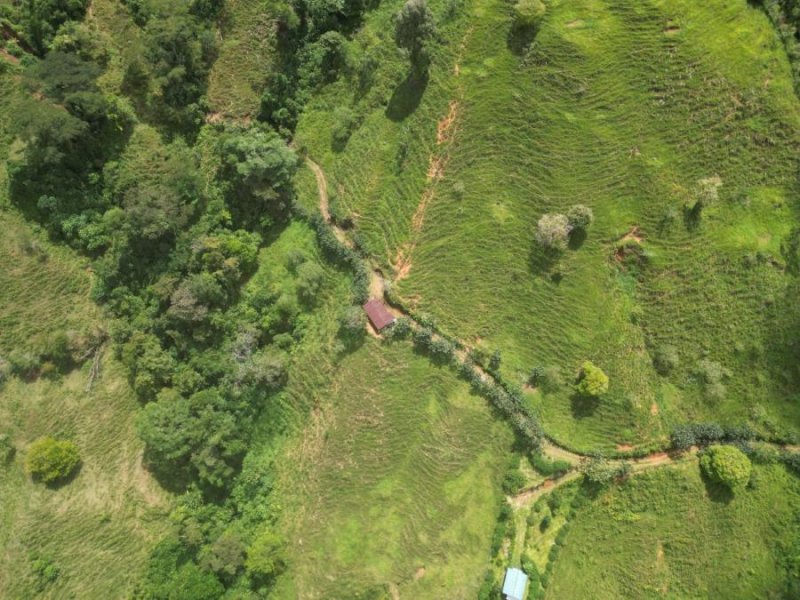 Finca en Venta en Santa Elena del General viejo La Arepa, San José