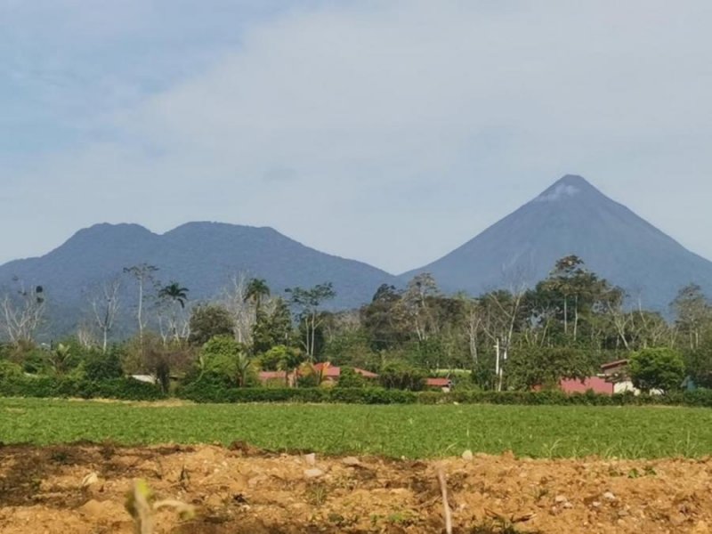 Tu Santuario Natural Espera en La Fortuna de San Carlos: hermosa propiedad en venta.