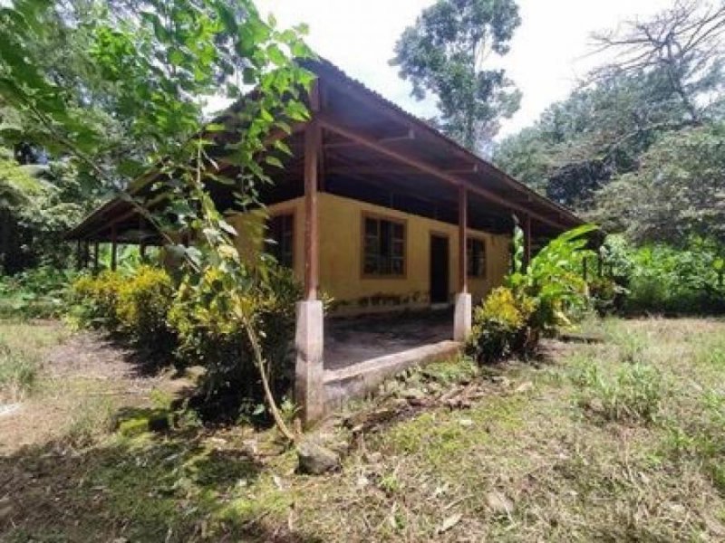 Terreno en Venta en  Guácimo, Limón