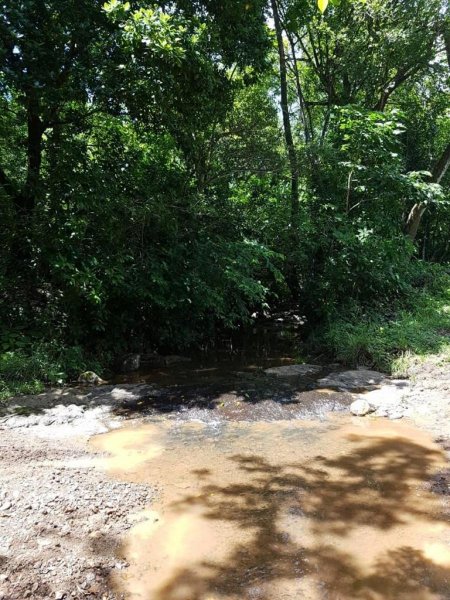 Finca en Venta en  Nicoya, Guanacaste