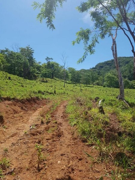 Finca en Venta en  Nicoya, Guanacaste