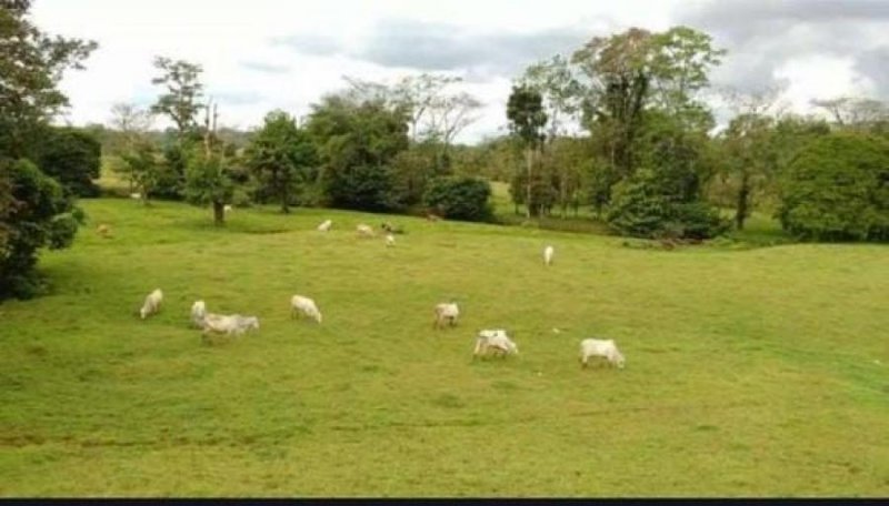 Foto Terreno en Venta en Nicoya, Guanacaste - U$D 2.500.000 - TEV63456 - BienesOnLine