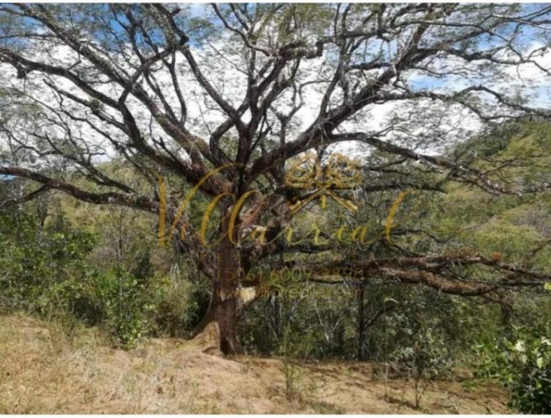 Finca en Venta en Nandayure Nandayure, Guanacaste