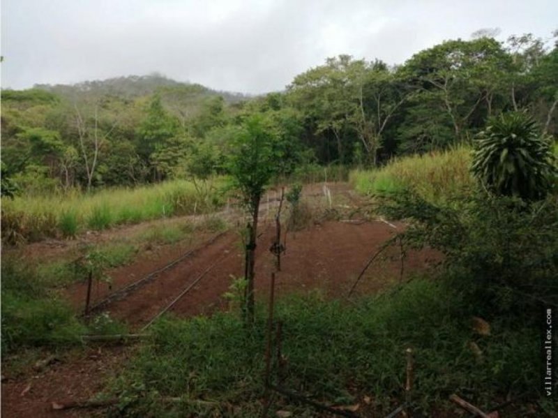 Finca en Venta en  Nicoya, Guanacaste