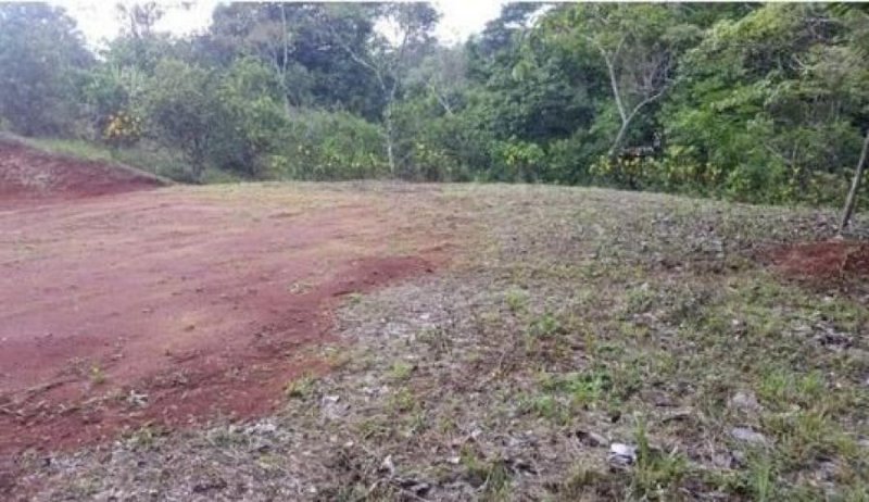 Terreno en Venta en  Nandayure, Guanacaste