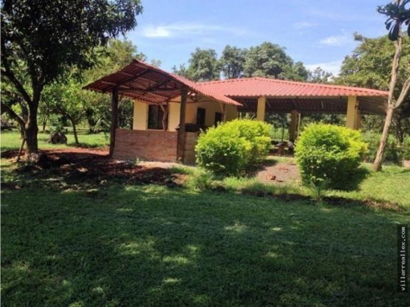 Foto Finca en Venta en Orotina, Alajuela - U$D 300.000 - FIV60898 - BienesOnLine