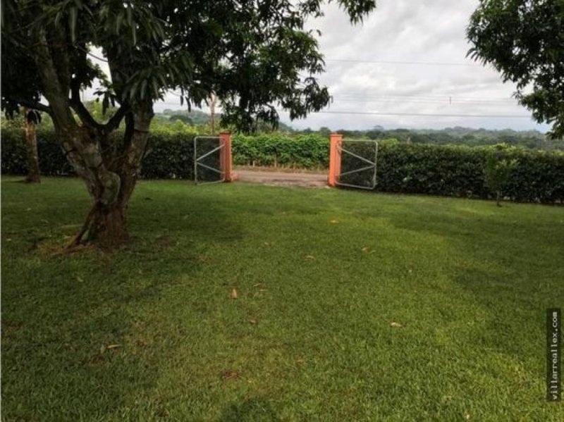 Foto Terreno en Venta en Orotina, Alajuela - U$D 300.000 - TEV62764 - BienesOnLine