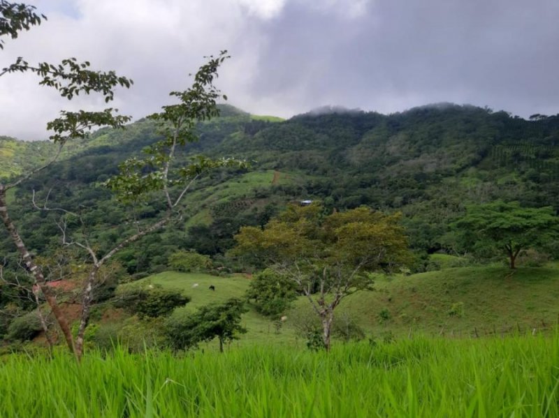 Terreno en Venta en  Nandayure, Guanacaste