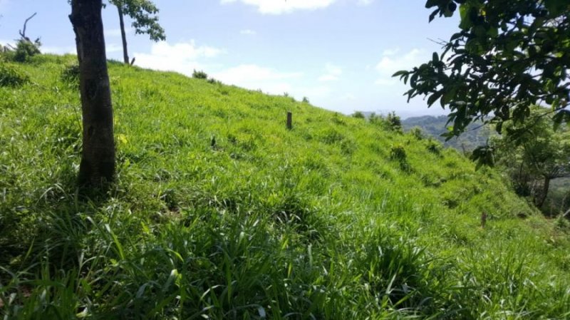 Terreno en Venta en  Nandayure, Guanacaste