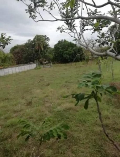 Foto Terreno en Venta en Filadelfia, Guanacaste - ¢ 45.000.000 - TEV61801 - BienesOnLine