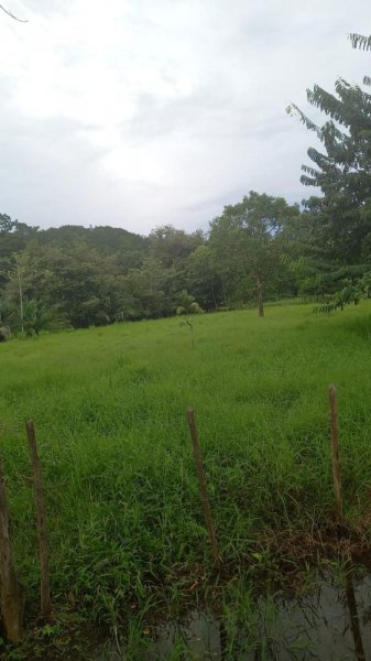 Terreno en Venta en  Bejuco, Guanacaste