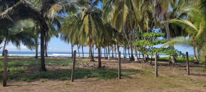 Terreno en Venta en Playa Costa de Oro Nandayure, Guanacaste