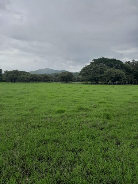 Finca en Venta en  Santa Cruz, Guanacaste