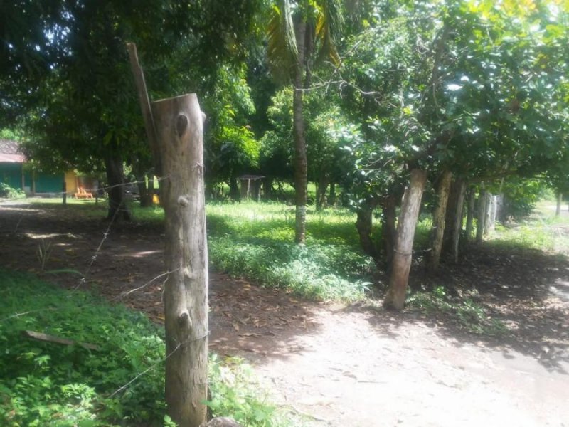 Foto Terreno en Venta en Liberia, Guanacaste - ¢ 50.000.000 - TEV64780 - BienesOnLine