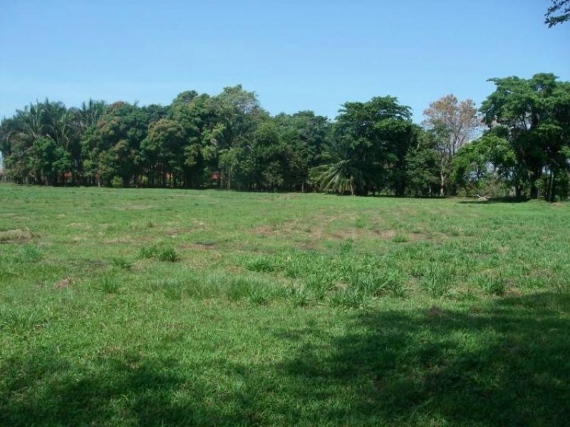 Foto Terreno en Venta en Nicoya, Guanacaste - U$D 65 - TEV3454 - BienesOnLine