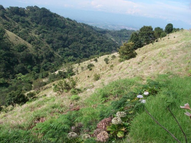 Finca en Venta en  Grecia, Alajuela