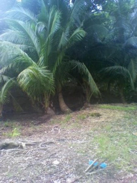 Foto Finca en Venta en La Virgen, Heredia - ¢ 52.000.000 - FIV3913 - BienesOnLine