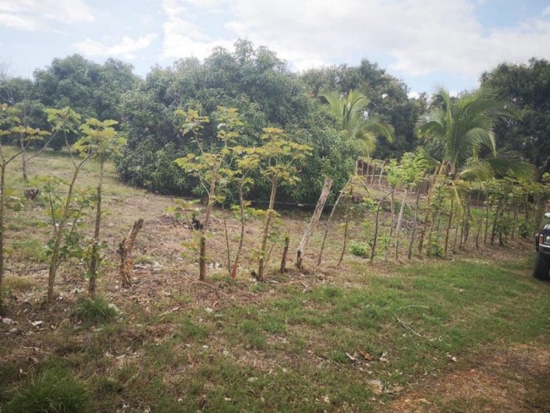 Foto Terreno en Venta en Orotina, Alajuela - ¢ 60.000.000 - TEV77629 - BienesOnLine