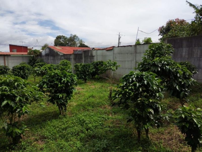 Foto Terreno en Venta en Santo Domingo, Heredia - ¢ 90.000.000 - TEV78405 - BienesOnLine